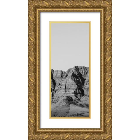Badlands BW Panel I Gold Ornate Wood Framed Art Print with Double Matting by Larson, Nathan