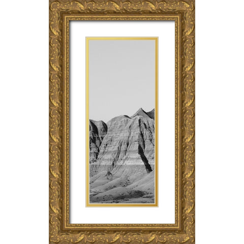 Badlands BW Panel II Gold Ornate Wood Framed Art Print with Double Matting by Larson, Nathan