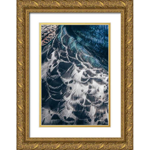 Peacock Study I Gold Ornate Wood Framed Art Print with Double Matting by Larson, Nathan