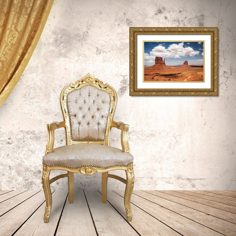 Monument Valley IV Gold Ornate Wood Framed Art Print with Double Matting by Van Swearingen, Debra