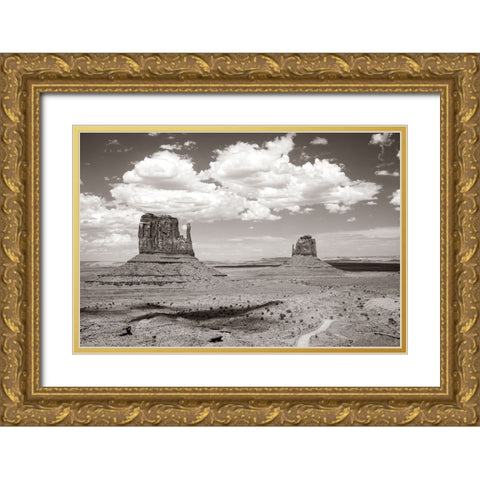 Monument Valley IV Sepia Gold Ornate Wood Framed Art Print with Double Matting by Van Swearingen, Debra