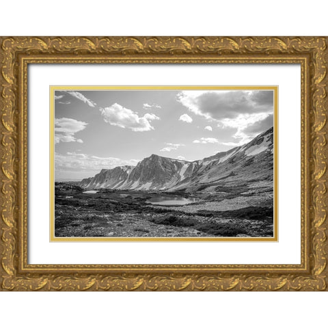 Wyoming Wonder Gold Ornate Wood Framed Art Print with Double Matting by Larson, Nathan