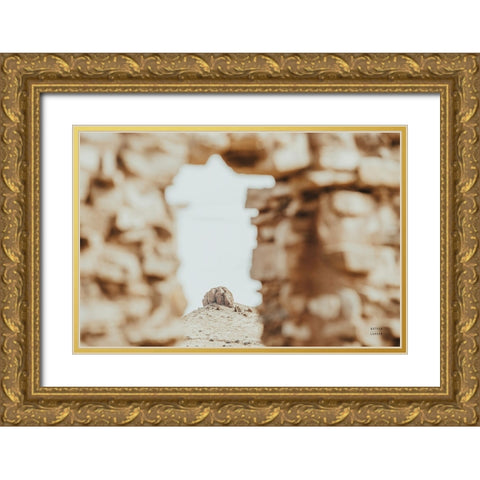 Through Ruins Gold Ornate Wood Framed Art Print with Double Matting by Larson, Nathan
