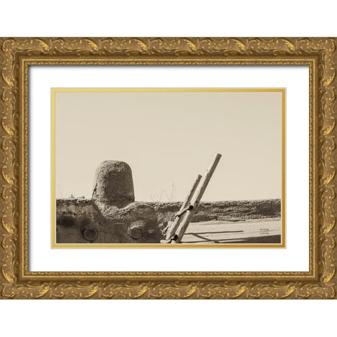 New Mexico Adobe Gold Ornate Wood Framed Art Print with Double Matting by Larson, Nathan