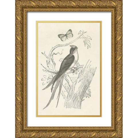 French Bird Etching Gold Ornate Wood Framed Art Print with Double Matting by Wild Apple Portfolio