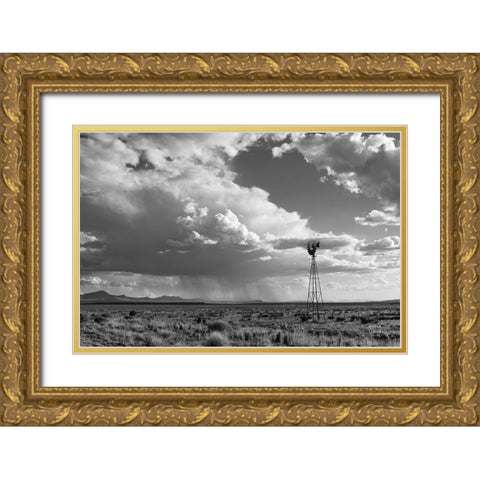 New Mexico Monsoon Rains Gold Ornate Wood Framed Art Print with Double Matting by Larson, Nathan