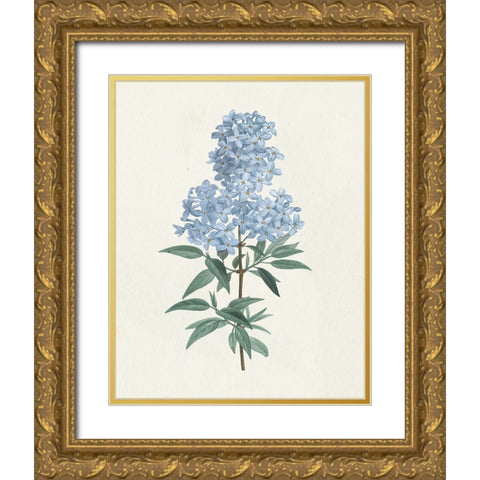 Victorian Garden Flowers III Blue Gold Ornate Wood Framed Art Print with Double Matting by Wild Apple Portfolio
