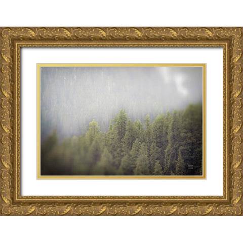 Northern Forests Gold Ornate Wood Framed Art Print with Double Matting by Larson, Nathan