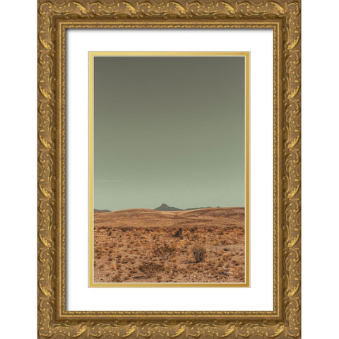 Welcome III Gold Ornate Wood Framed Art Print with Double Matting by Larson, Nathan