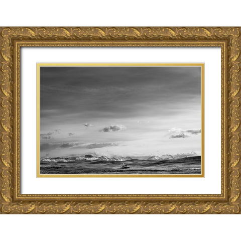 Mountain Cabin I Gold Ornate Wood Framed Art Print with Double Matting by Larson, Nathan