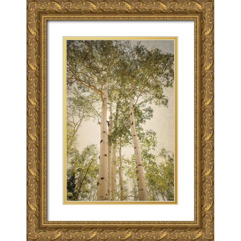 Towering Aspens 1 Gold Ornate Wood Framed Art Print with Double Matting by Van Swearingen, Debra