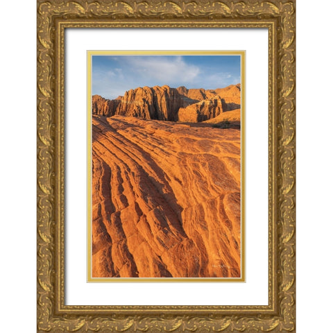 Cross Bed Sandstone Gold Ornate Wood Framed Art Print with Double Matting by Majchrowicz, Alan