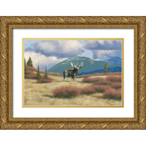Northern Moose Gold Ornate Wood Framed Art Print with Double Matting by Studio, Wellington