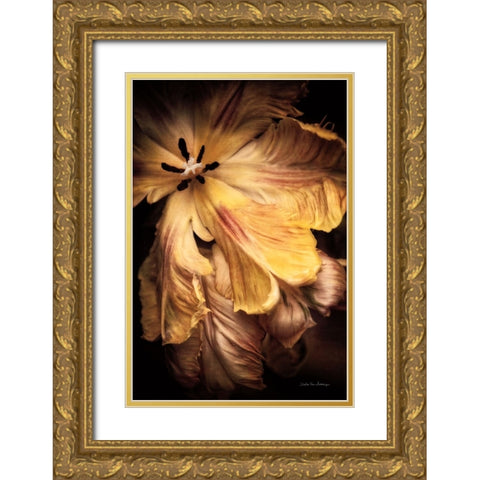 Tulip Detail I Gold Ornate Wood Framed Art Print with Double Matting by Van Swearingen, Debra