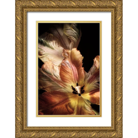 Tulip Detail IV Gold Ornate Wood Framed Art Print with Double Matting by Van Swearingen, Debra