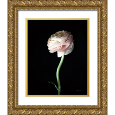 Single Ranunculus IV Gold Ornate Wood Framed Art Print with Double Matting by Van Swearingen, Debra