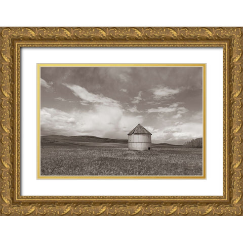 Sunny Pastures BW Gold Ornate Wood Framed Art Print with Double Matting by Larson, Nathan