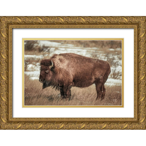 Solitary Gold Ornate Wood Framed Art Print with Double Matting by Larson, Nathan