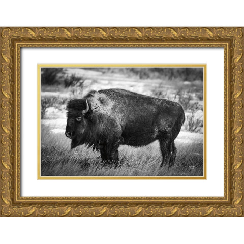 Solitary BW Gold Ornate Wood Framed Art Print with Double Matting by Larson, Nathan