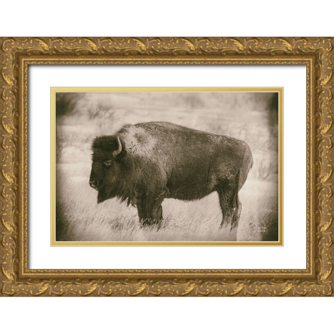 Solitary Sepia Gold Ornate Wood Framed Art Print with Double Matting by Larson, Nathan