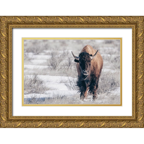 Bison Beauty Gold Ornate Wood Framed Art Print with Double Matting by Larson, Nathan