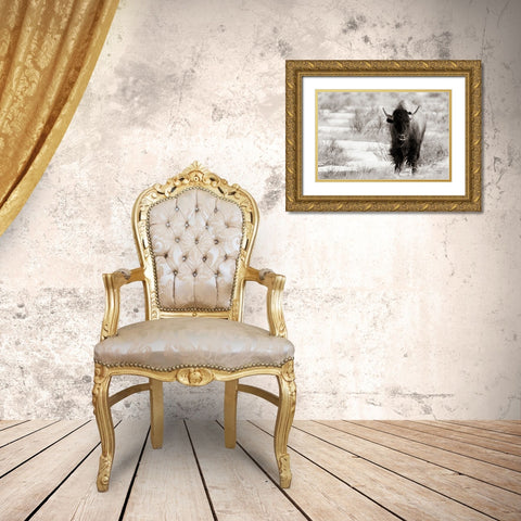 Bison Beauty BW Gold Ornate Wood Framed Art Print with Double Matting by Larson, Nathan