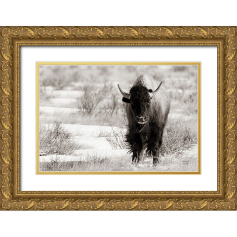 Bison Beauty BW Gold Ornate Wood Framed Art Print with Double Matting by Larson, Nathan