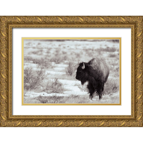Lookout BW Gold Ornate Wood Framed Art Print with Double Matting by Larson, Nathan