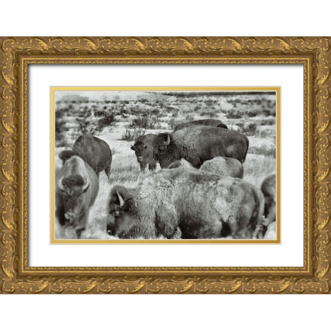 Open Range I Gold Ornate Wood Framed Art Print with Double Matting by Larson, Nathan