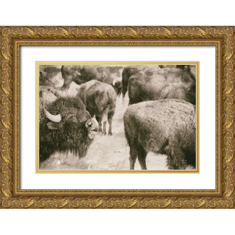 Open Range II Gold Ornate Wood Framed Art Print with Double Matting by Larson, Nathan