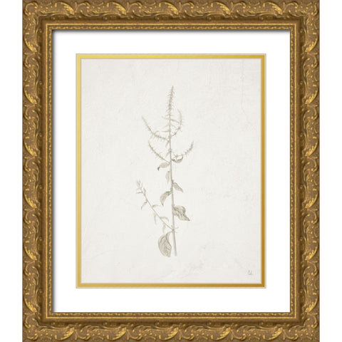 Gifts from the Meadow VI Gold Ornate Wood Framed Art Print with Double Matting by Adams, Sarah