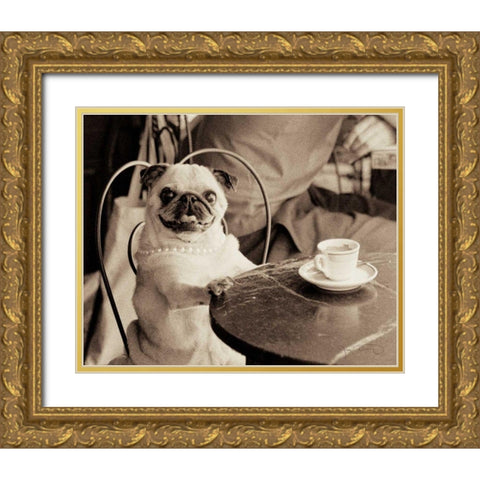 Cafe Pug Gold Ornate Wood Framed Art Print with Double Matting by Dratfield, Jim