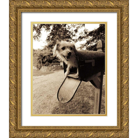 You ve got mail Gold Ornate Wood Framed Art Print with Double Matting by Dratfield, Jim
