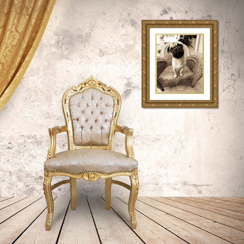 Wonder Gold Ornate Wood Framed Art Print with Double Matting by Dratfield, Jim