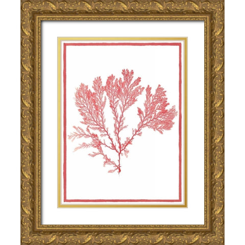 Sea Things I Gold Ornate Wood Framed Art Print with Double Matting by Chilton, Sarah E