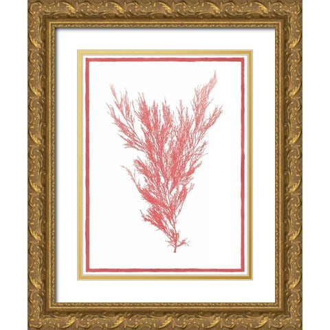 Sea Things II Gold Ornate Wood Framed Art Print with Double Matting by Chilton, Sarah E