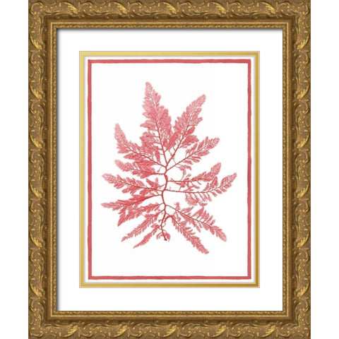 Sea Things III Gold Ornate Wood Framed Art Print with Double Matting by Chilton, Sarah E