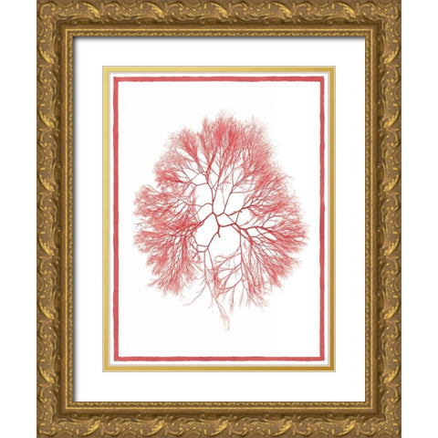 Sea Things IV Gold Ornate Wood Framed Art Print with Double Matting by Chilton, Sarah E