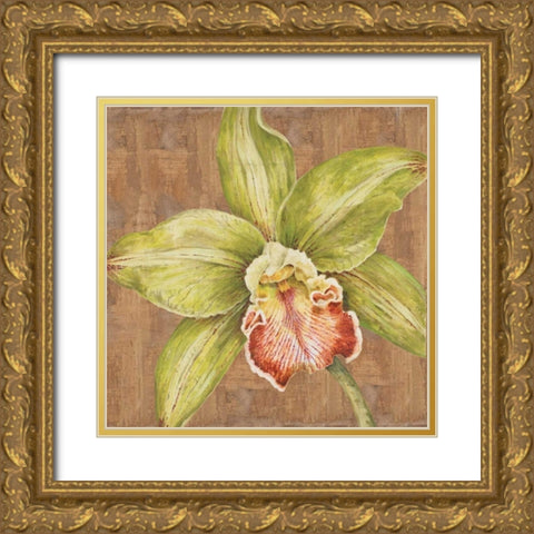 Aloha Beauty Petites B Gold Ornate Wood Framed Art Print with Double Matting by Shelby, Judy