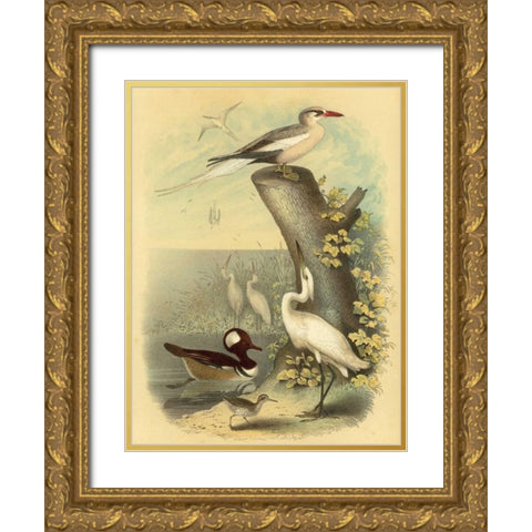 Coastal Dwellers II Gold Ornate Wood Framed Art Print with Double Matting by Steele, Horace