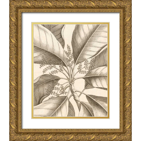 Tropical Connection II Gold Ornate Wood Framed Art Print with Double Matting by Van Houtte, Louis