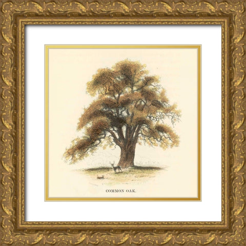 Common Oak Gold Ornate Wood Framed Art Print with Double Matting by Williams, Samuel