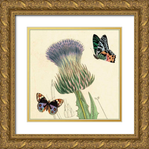 Field Thistle Gold Ornate Wood Framed Art Print with Double Matting by van Houtte, Louis