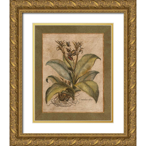 Valencia I Gold Ornate Wood Framed Art Print with Double Matting by Alexander, Zachary