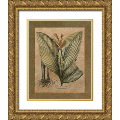 Valencia II Gold Ornate Wood Framed Art Print with Double Matting by Alexander, Zachary