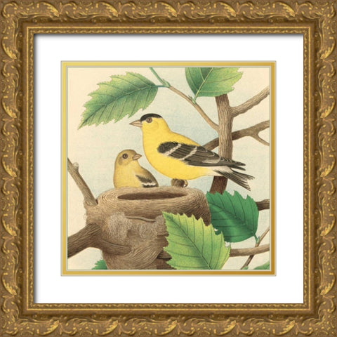 Goldfinch and Warbler A Gold Ornate Wood Framed Art Print with Double Matting by Gould, John