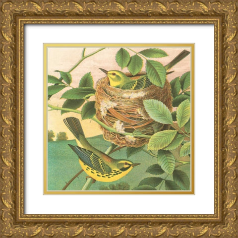 Goldfinch and Warbler B Gold Ornate Wood Framed Art Print with Double Matting by Gould, John