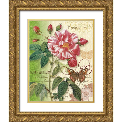 Rose Splendor I Gold Ornate Wood Framed Art Print with Double Matting by Han, Ching