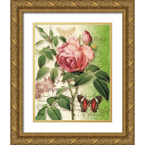 Rose Splendor II Gold Ornate Wood Framed Art Print with Double Matting by Han, Ching