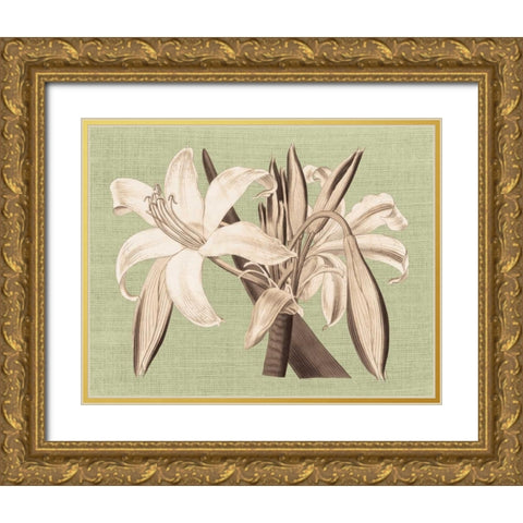 Regence Lily IV Gold Ornate Wood Framed Art Print with Double Matting by Chilton, Sarah E